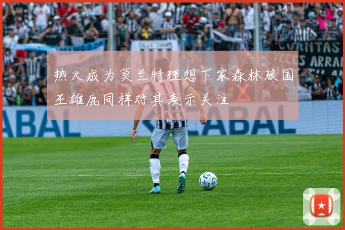 热火成为莫兰特理想下家森林狼国王雄鹿同样对其表示关注