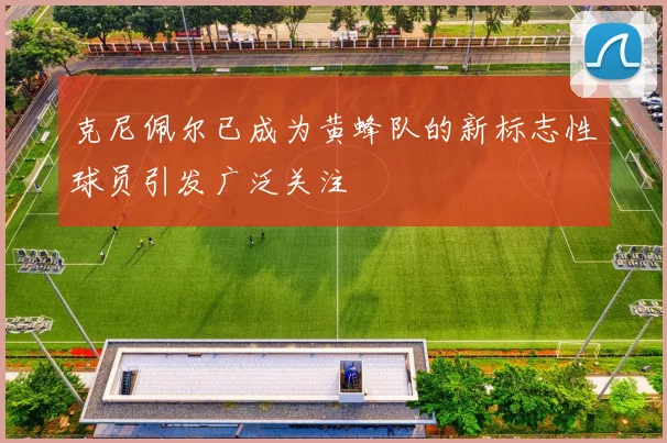 克尼佩尔已成为黄蜂队的新标志性球员引发广泛关注