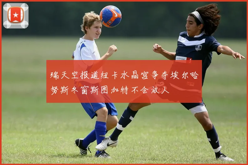 瑞天空报道纽卡水晶宫争夺埃尔哈努斯冬窗斯图加特不会放人