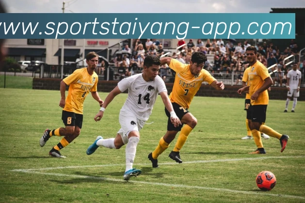 太阳城平台生态图