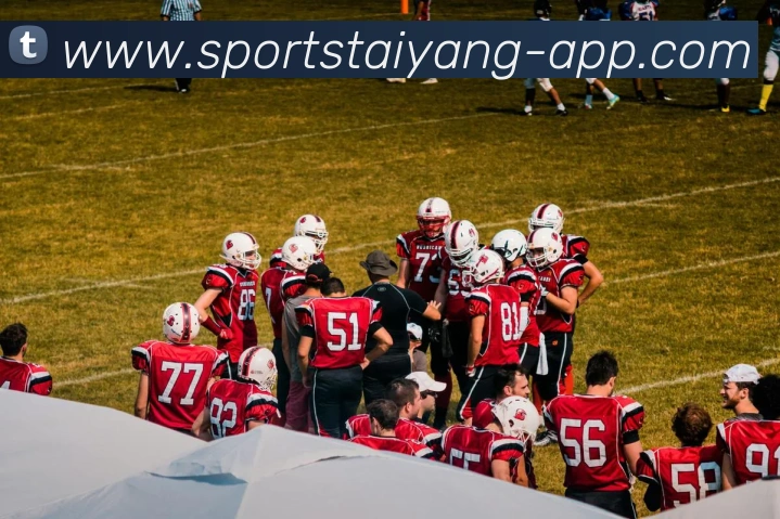 太阳城APP 封面图